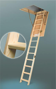 ����� ���������